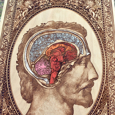 Gothic-style anatomical illustration on handcrafted wooden plaque.