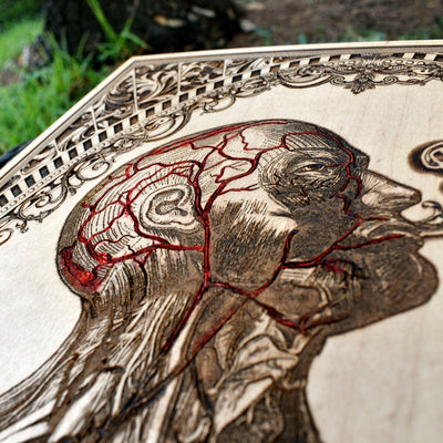 Human anatomy wood engraving wall art for science lovers