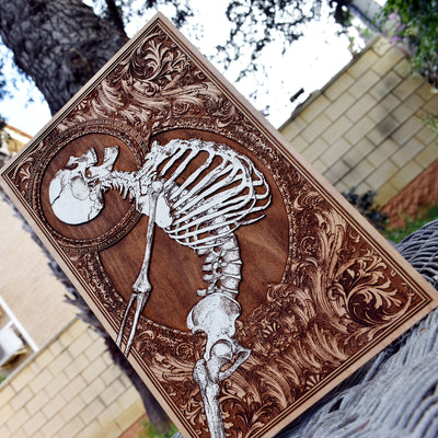 Dark gothic skeleton artwork for oddity, curiosity, and horror lovers