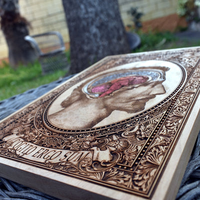 Engraved human anatomy artwork on wooden panel – gothic home decor.