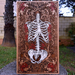 Load image into Gallery viewer, human skeleton anatomy

