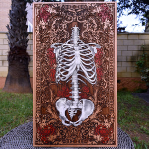 human skeleton anatomy