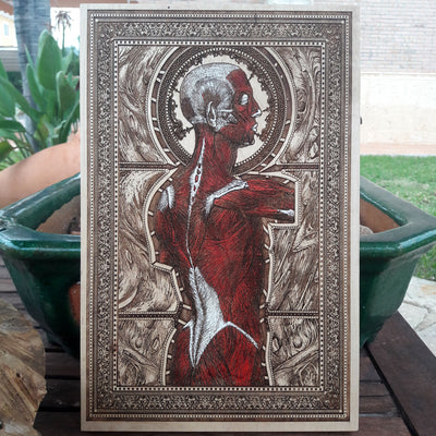 Hand-painted anatomical wall art on cedar wood, personalized med school gift.